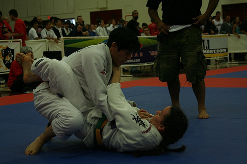 Alpha Martial Arts Adults Brazilian JiuJitsu (BJJ