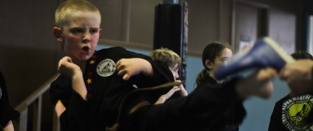 Alpha Martial Arts Children’s Martial Arts