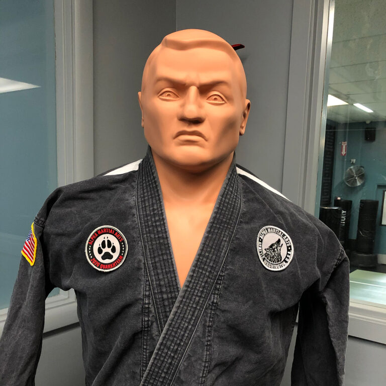 Alpha Martial Arts Patches